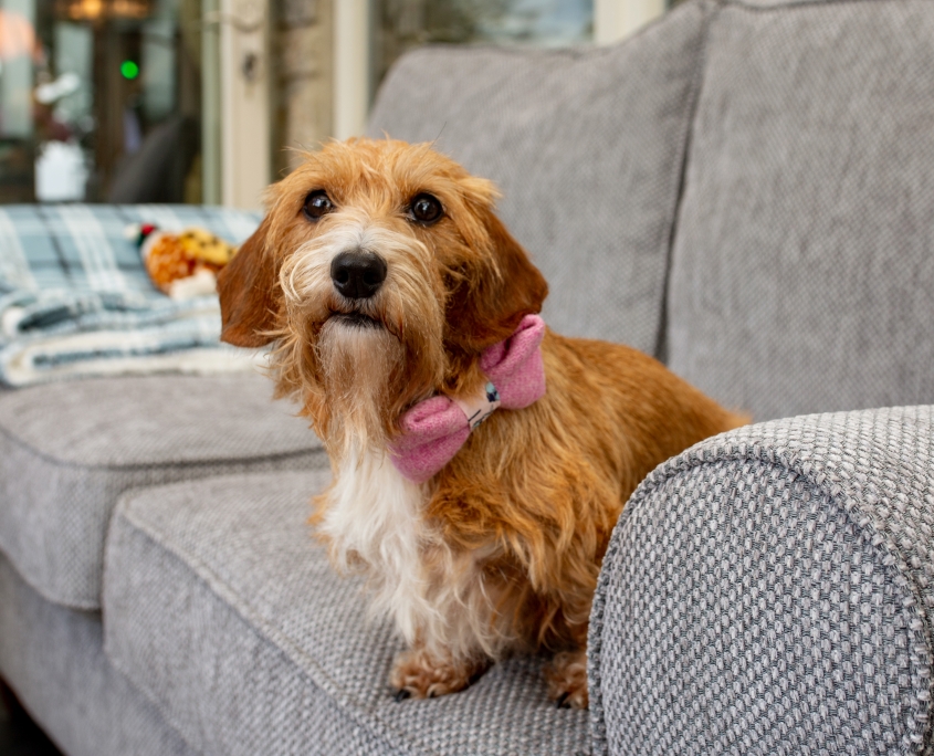 Luxury holiday cottage dog friendly cottage for 2 with hot tub in Cornwall